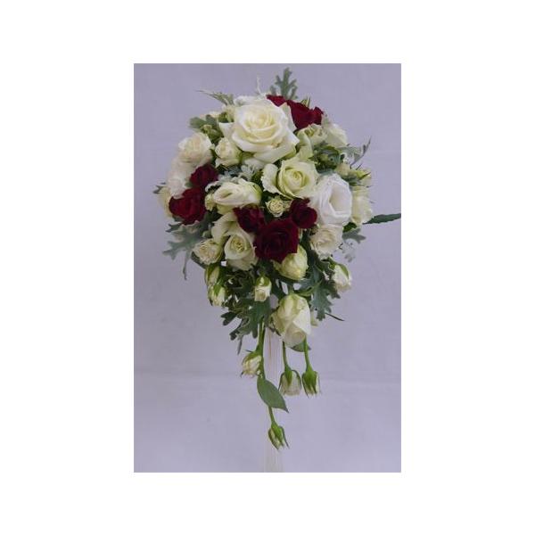 uC_u[P/oI[ou[P@ԃ~jo