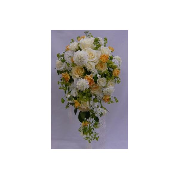 uC_u[P/EWFo@LXP[hu[P