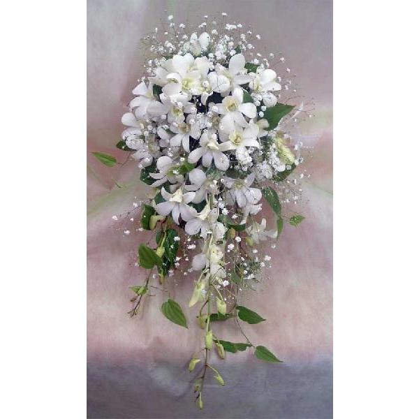 ブライダルブーケ デンファレキャスケードブーケ Wdd 01 フラワーギフト ブルーマート 通販 Yahoo ショッピング