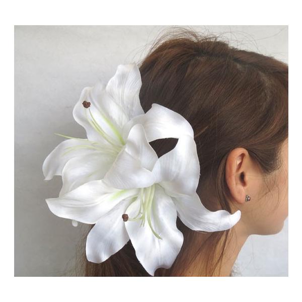 EGfBOu[P/wbhhX/wbhԁ@@@2