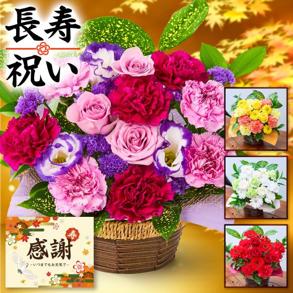 ＜内容量＞・賀寿 長寿祝い アレンジメント（縦×横×奥：約30cm×約25cm×約25cm）・長寿祝いカード※お花のサイズは個体差があるため目安になります。※小物・花器は商品のイメージを損ねない程度に変更の可能性がございます。あらかじめご了...