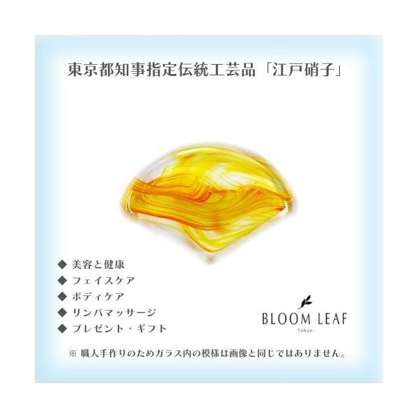 東京都指定伝統工芸品「江戸硝子」東京都知事認定「伝統工芸士」監修のもと製作しました。江戸硝子の特徴は、江戸時代より伝わる材料や伝統的な技法を引き継いだガラス製法で、全てが職人による手作業で製作されています。また、東京都の伝統工芸品産業・国の...