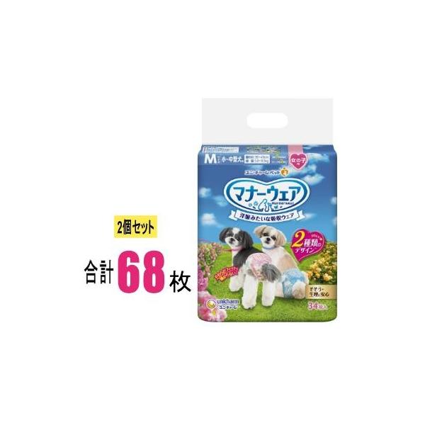 bloomy_4520699686492-2