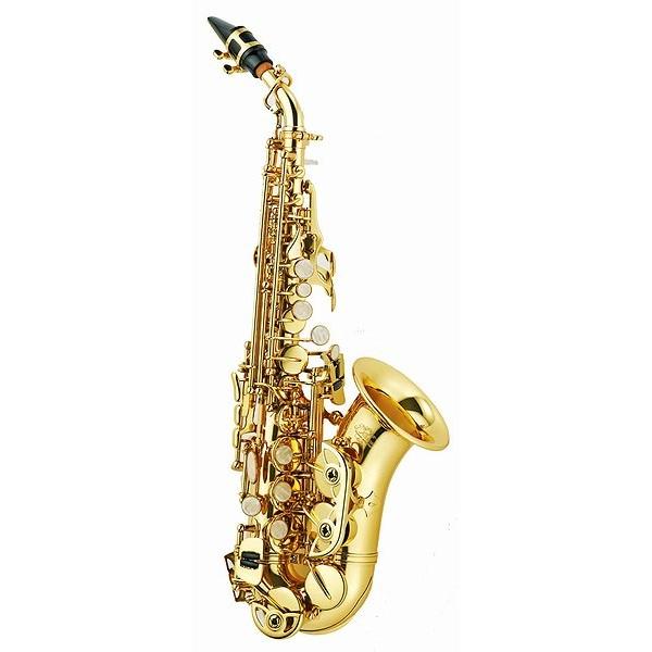 シャトー】ソプラノサックスブラックシルバーリガチャー・キャップ付き