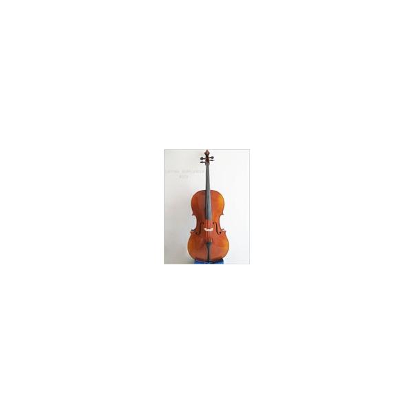 bloomz_semmlinger-500-cello bloomz_semmlinger-500-cello