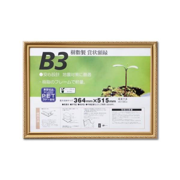 大仙 額縁 賞状額 金消 R B3 樹脂製 シュリンクパック J045B4400 : BLS
