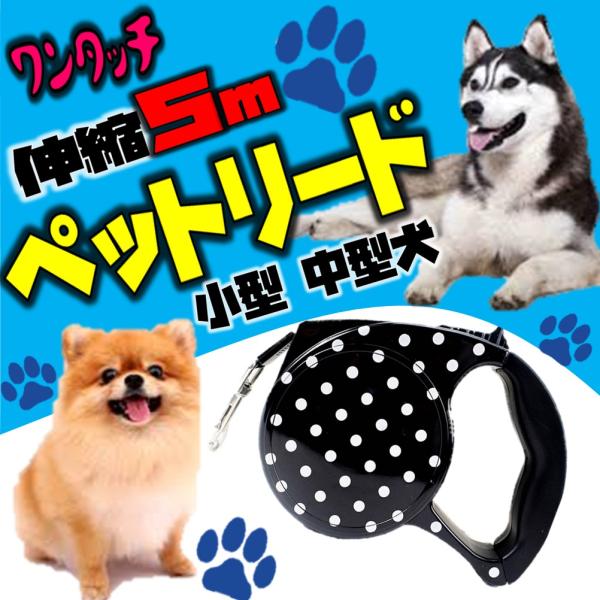 送料無料 リード ５m 伸縮 ペットリード ワンタッチ 自動巻き 簡単操作 散歩 伸びる おしゃれ 丈夫 握りやすい 持ちやすい 人気 公園 小型犬 型犬