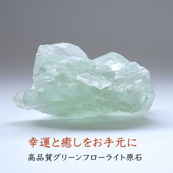  O[t[Cg t[Cg i106 x 70 x 58~jp[Xg[ VR K^   ^UP 肢 Mtg u  CeA