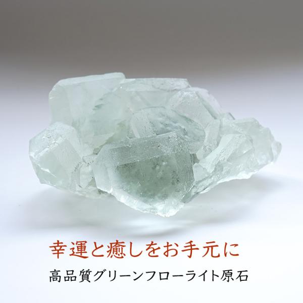  O[t[Cg t[Cg i107 x 74 x 47~jp[Xg[ VR K^   ^UP 肢 Mtg u  CeA