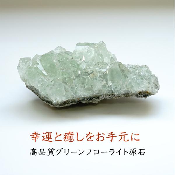  O[t[Cg t[Cg i100 x 61 x 40~jp[Xg[ VR K^   ^UP 肢 Mtg u  CeA