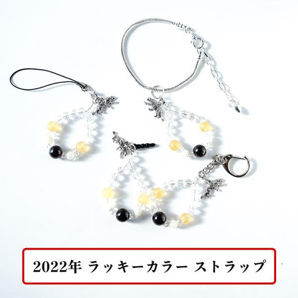 2022N bLJ[   ДN  Xgbv 01 VR K[lbg JTCg }U[Iup[ J^  gуXgbv  fB[X Y