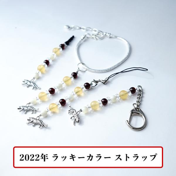 2022N bLJ[   ДN  Xgbv 02 VR K[lbg JTCg }U[Iup[ J^  gуXgbv  fB[X Y