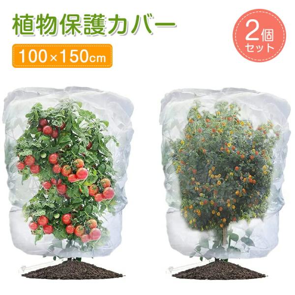 植物保護カバー 2個セット (100X150cm) 防虫ネット 防鳥ネット 園芸用ネット 菜園 プランター 花壇適用のホワイト野菜栽培 園芸用ネット 透明 通気性 虫鳥除け網