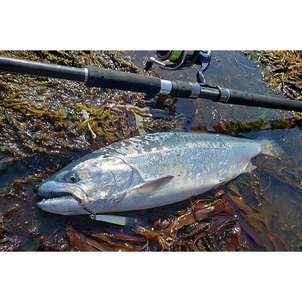 DAIWA(釣り) DAIWA 23Kamuy Icaniw KAMUY RANKE TAM カムイ DAIWA(釣り) DAIWA 23Kamuy Icaniw KAMUY RANKE TAM カムイ