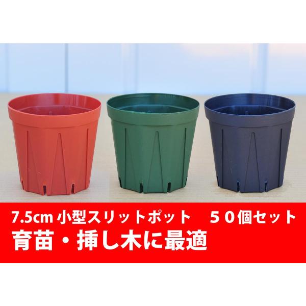 根のサークリング防止 スリットポット 7.5cm 50個セット