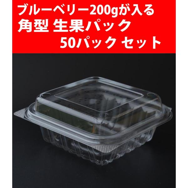 新鮮ブルーベリー プラスチック容器入り 6オンスラズベリークラムシェル170grブルーベリープラスチック