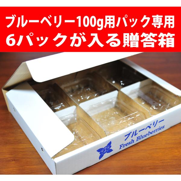 blueberryhouse_s1221-c01