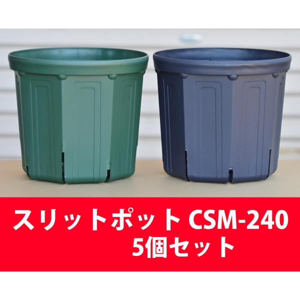 根のサークリング防止 スリットポット 24cm CSM-240 5個セット