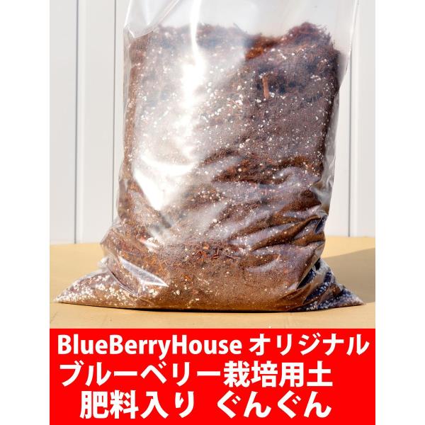 ブルーベリー栽培用土 ぐんぐん 30リットル袋