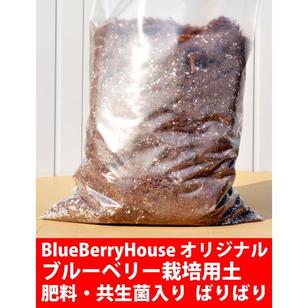 ブルーベリー栽培用土 ばりばり 30リットル袋
