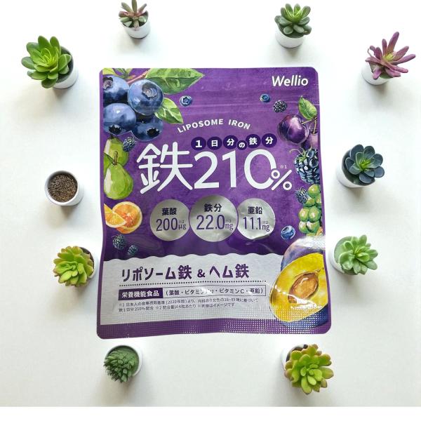 高吸収×持続型のW 鉄分  1日分の鉄分210% サプリメント 葉酸 亜鉛 マルチビタミン 葉酸サプリ 亜鉛サプリ ビタミンサプリ 鉄 てつ 妊活