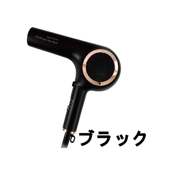 FRONTe フロンテ P-UP ピーアップ クレア ヘアドライヤー ブラック