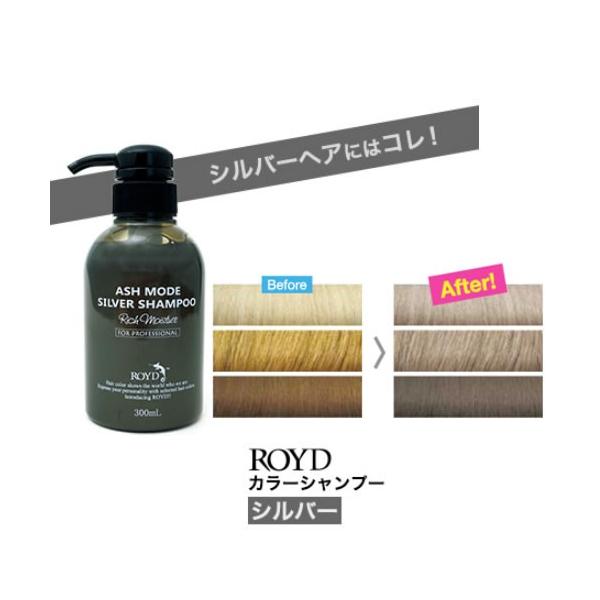 [メーカー公認正規販売店]ロイドカラーシャンプー シルバー 300ml [ROYD/シルバーシャンプー/カラーシャンプー/ロイドカラーシャンプー][送料無料]