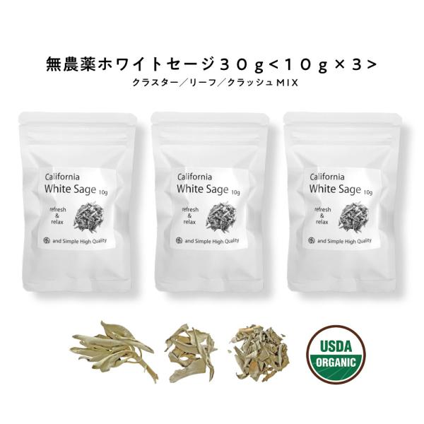 激安お買い得☆400g＜浄化☆邪気祓い☆カリフォルニア産ホワイトセージ枝付き＞ b-faith01_0726-001798