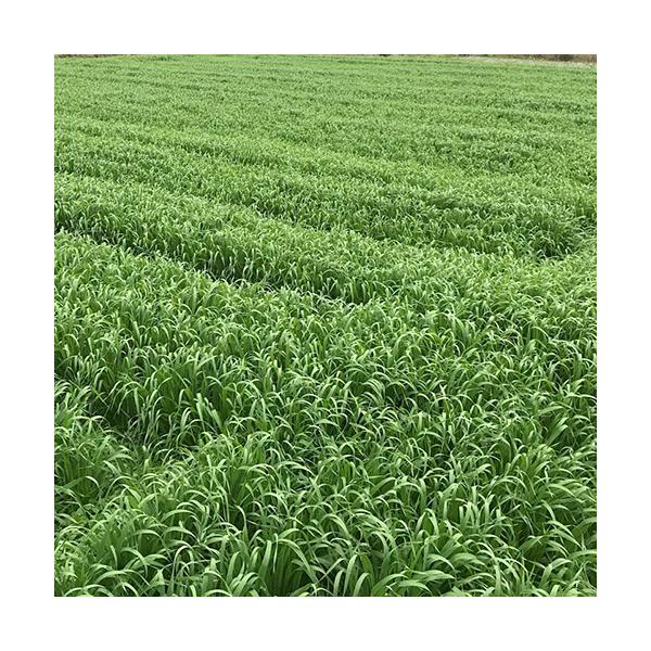 bluedays_296498-02_1_d_20260227133127