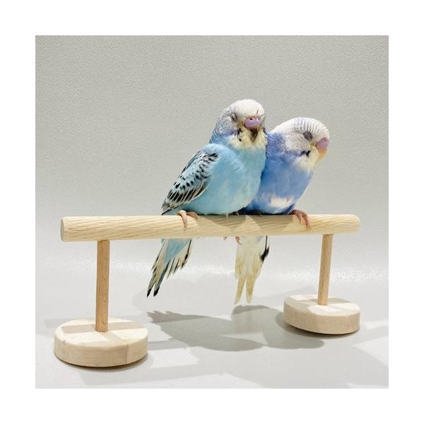 小鳥の楽しい遊び場シリーズ。お部屋で自由に遊ばせたい方に！ 簡単組立！丸いベースの穴に止まり木の軸を差し込むだけ。（固定する際は、市販の木工用接着剤をご使用下さい。）