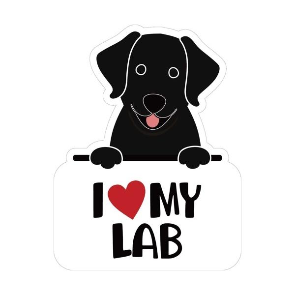 Sticker Packは、アメリカ・ネバダ州リノ発のステッカーブランドです。ポップカルチャーの本場ならではの、カラフルで繊細なデザインのステッカーを揃えています。 ステッカーには、高品質で環境にやさしいPVC素材を使用しています。PVCは...