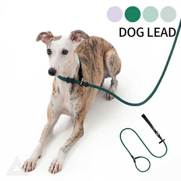 中型犬用ドッグトレーニングリーシュ Amazon | ドッグ スリップリード 犬用リーシュ、反射ロープ