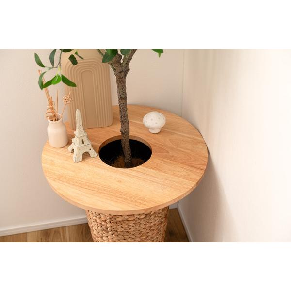 天然木のぬくもりを感じる北欧風デザインの「helppo」シリーズより、プランターの上に設置するだけで、観葉植物がおしゃれなテーブルになるアイテムが登場しました。ダボをはめ込むだけで簡単にセットする事が可能です。やさしい印象のサークルタイプと...