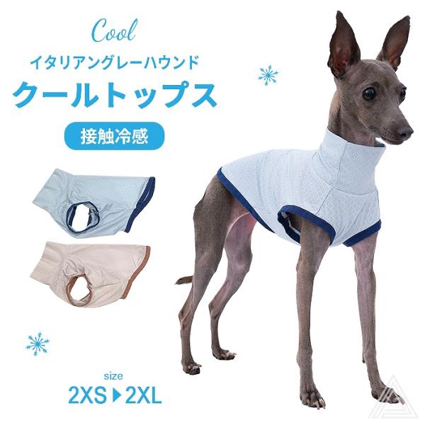 イタグレ 服 接触冷感 ひんやりトップス ハイストレッチ カットソー