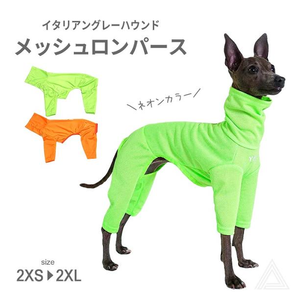 犬服　イタグレ服 Amazon | manatom イタグレ 服 おしゃれ イタリアングレー