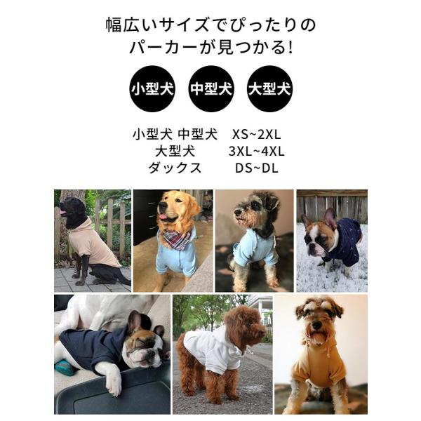�t�����`�u���h�b�O �t�[�h�t�� ��  �� ��  �p�[�J�[ �g���[�i�[ �X�q�t�� ���n �X�E�F�b�g �p�O ���^�� ���^�� ��^�� ���i�摜3