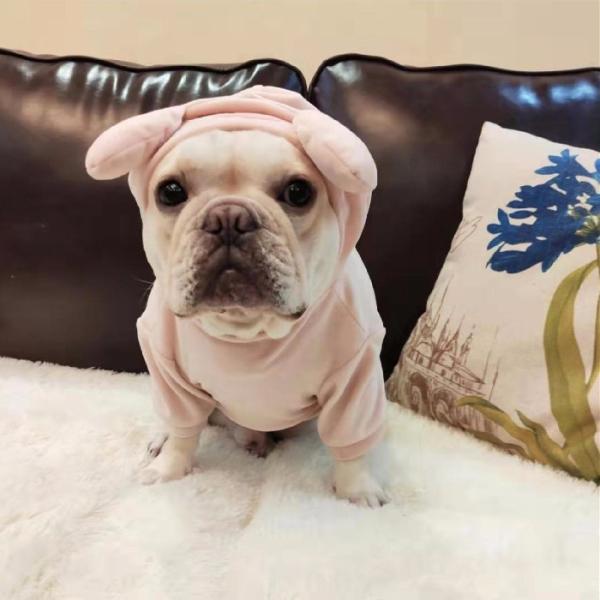 犬 服 フレンチブルドッグ ぶたさん コスプレ 犬服 KM129TS : BESTWEAR