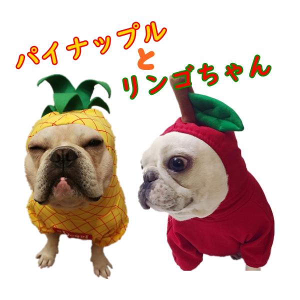 犬 服 ハロウィン 仮装 フレブル パイナップル人形 アップル リンゴ