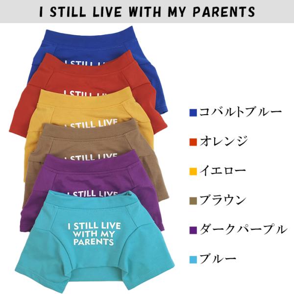 bluedays_km258ts_4_d_20230613151832