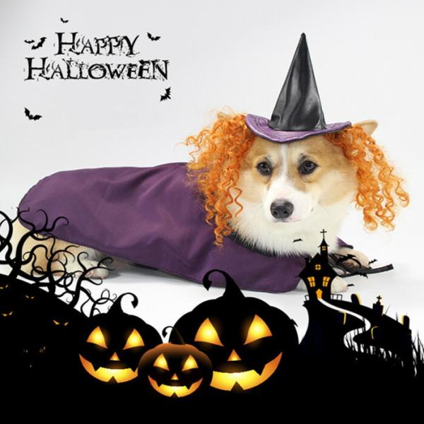 ハロウィン マント 犬の価格と最安値 おすすめ通販を激安で