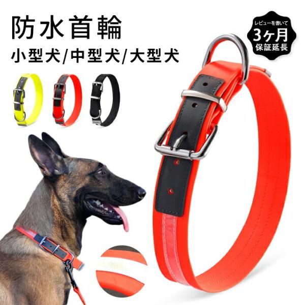 スペイン製 高級犬用リードと首輪セットBaseball Red（小型犬 中型犬） Truelove 犬 首輪 犬用 おしゃれ 和柄 花柄 小型犬 中型犬 大型