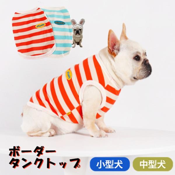 189＊アンティーク 美品 犬“反則級のキュートなフレンチブルドッグ！”袋帯 189＊アンティーク 美品 犬“反則級のキュートなフレンチ