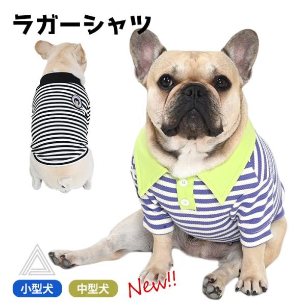 売り尽くし ラガーシャツ ボーダー 犬 犬服 フレンチブルドッグ 秋 冬