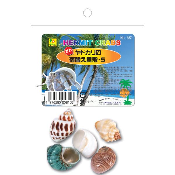 ヤドカリの引越し用宿替え貝殻オカヤドカリ自身は、脱皮を繰り返して成長しますが、名前の由来通り、借り物貝殻は成長しません。そこで、体が大きくなって貝が狭くなると、引越し(貝殻を変える)の必要が出てきます。しかし宿替えする貝殻は、個体が気に入っ...