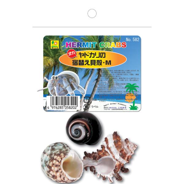 オカヤドカリ自身は、脱皮を繰り返して成長しますが、名前の由来通り、借り物貝殻は成長しません。そこで、体が大きくなって貝が狭くなると、引越し(貝殻を変える)の必要が出てきます。しかし宿替えする貝殻は、個体が気に入った貝でないと、引越ししてくれ...