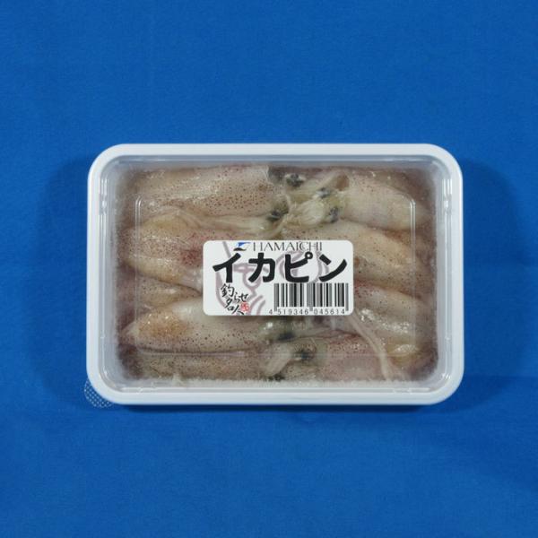 イカピン 釣り餌 いか 釣りえさ 海上釣堀 イカ つりえさ サシエサ 冷凍