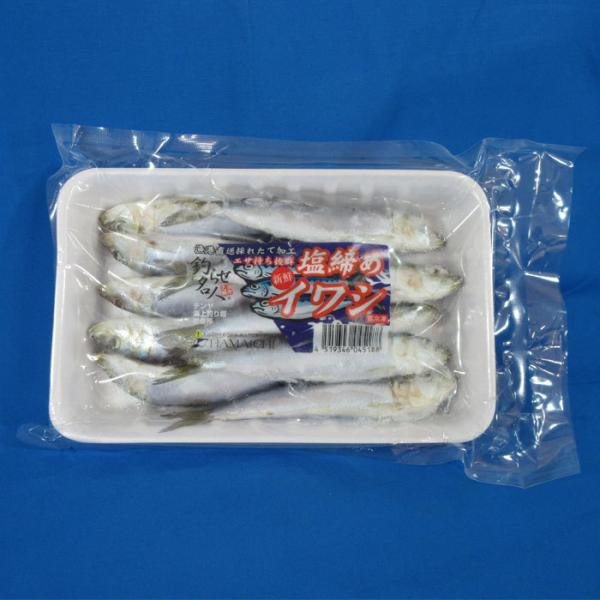 15cm程のイワシを、塩締め加工したものです。※釣りエサです。食品ではありません。内容量：10匹入り