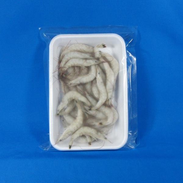 釣り餌芝エビえび海老シバエビサシエサ海上釣堀釣り堀冷凍 Buyee Buyee 提供一站式最全面最專業現地yahoo Japan拍賣代bid代拍代購服務