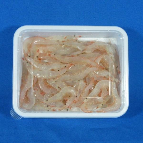 釣り餌 白えび不凍加工 シロエビ えび 海老 冷凍 :r004 