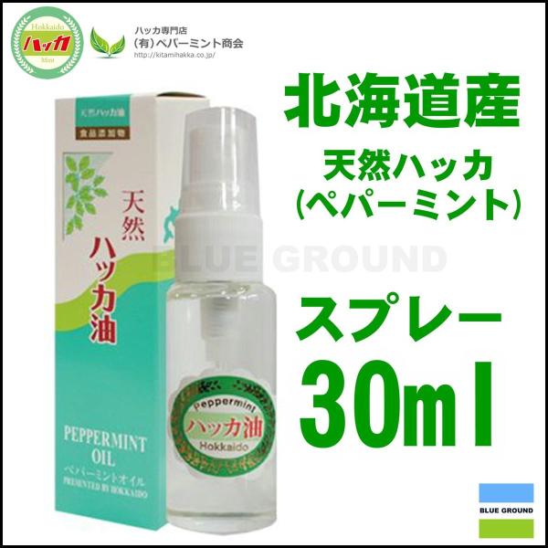 北海道北見産　天然ハッカスプレー（大）　30ml ２個セット［クリックポスト配送］